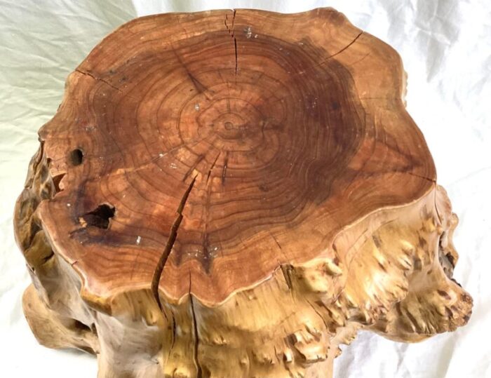 1980s vintage cabin tree root trunk stool 7388