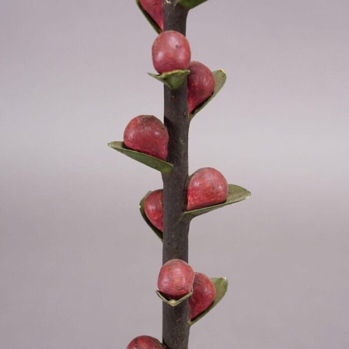 19th century botanic model attributed to robert brendel 1890s 5