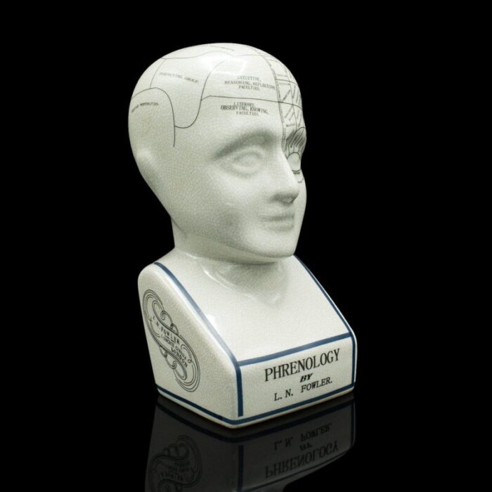 english phrenology ceramic bust 1970s 1