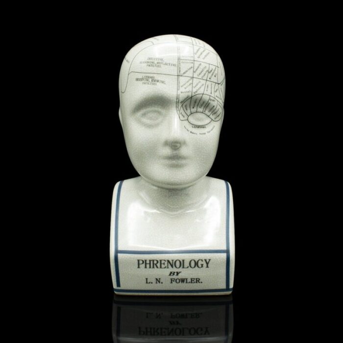 english phrenology ceramic bust 1970s 2