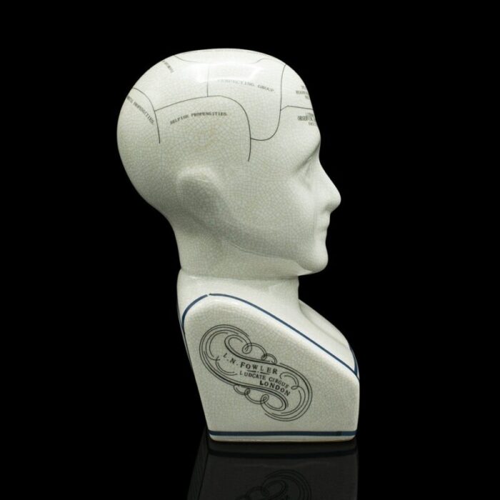 english phrenology ceramic bust 1970s 3