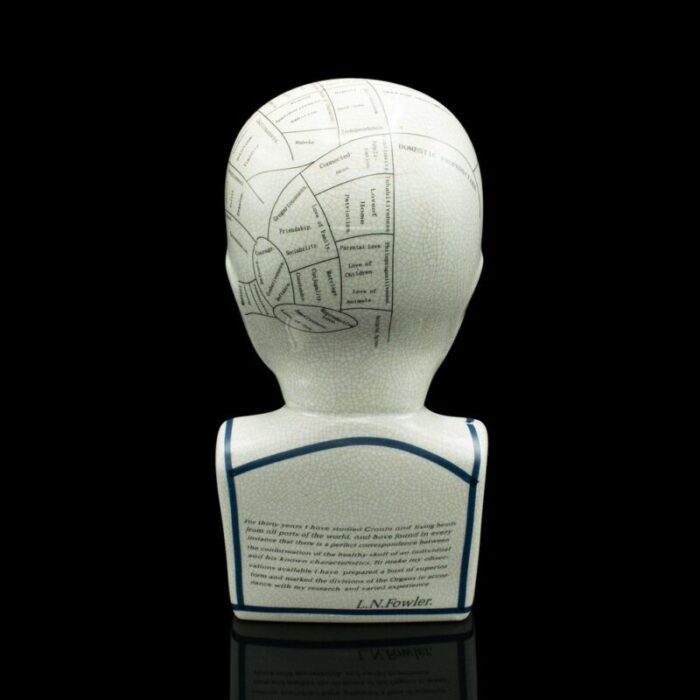 english phrenology ceramic bust 1970s 4