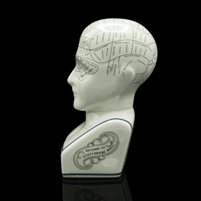 english phrenology ceramic bust 1970s 5