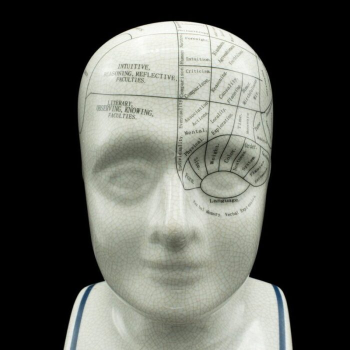 english phrenology ceramic bust 1970s 6