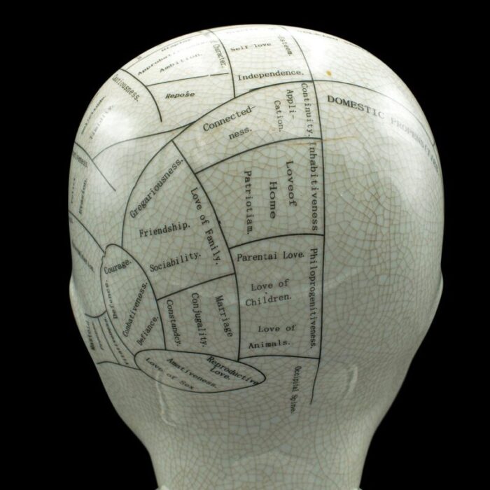 english phrenology ceramic bust 1970s 8