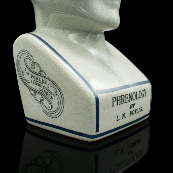 english phrenology ceramic bust 1970s 9