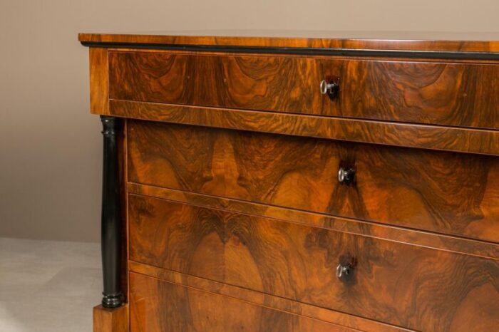 german biedermeier chest of drawer in walnut 5770