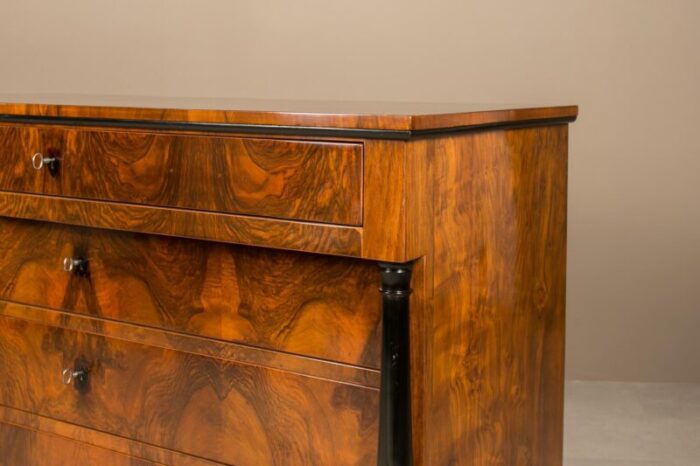 german biedermeier chest of drawer in walnut 9248