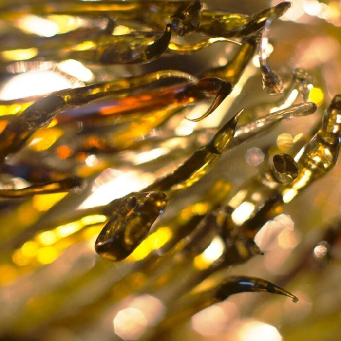 gold resin chandelier by jacopo foggini 3977