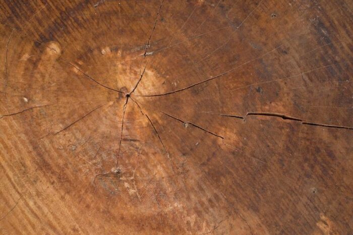 late 20th century carved lychee wood drum form side table 8405