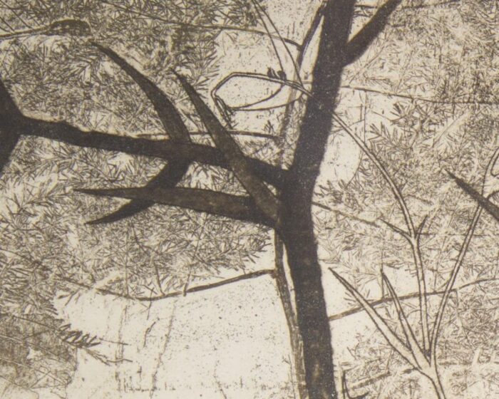 thorny edge limited edition etching by bethia brehmer 3933