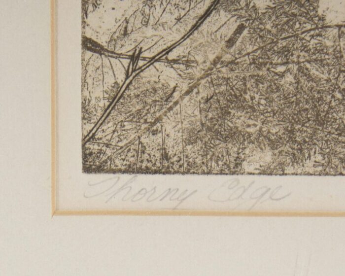 thorny edge limited edition etching by bethia brehmer 8933