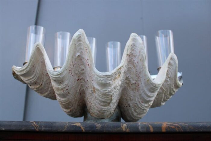 tridacna champagne tray oysters in crystal glasses by gabriella binazzi 1970s 13