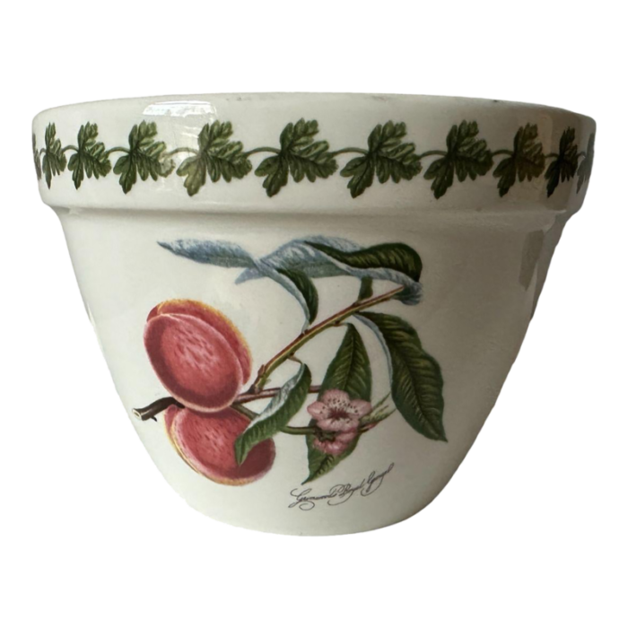 vintage portmeirion pomona pudding bowlplant pot england 5425